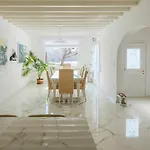 Villa Archon Mykonos Luxury *